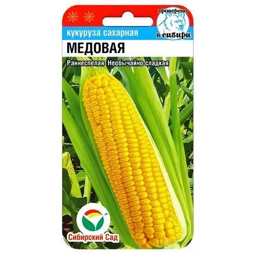 ������ ������ �������� ������� ��������� ���   ����