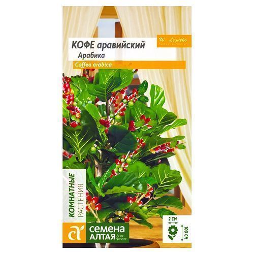 ������ ������ ���� ���������� ������� ������ �����   ����