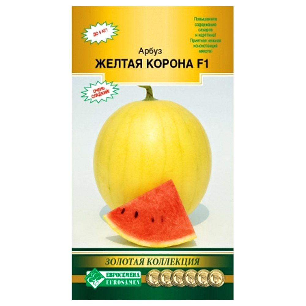 ������ ������ ����� ������ ������ F1 ����������   ����