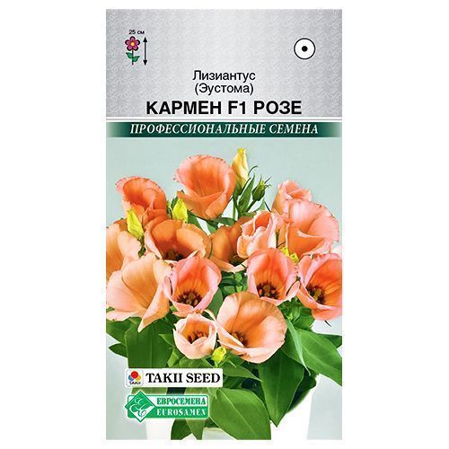 ������ ������ ��������� (�������) ������ F1 ���� ����������   ����