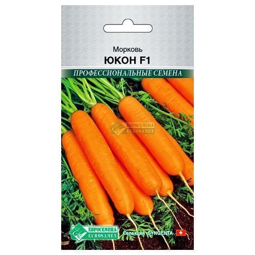 ������ ������ ������� ���� F1 ����������   ����