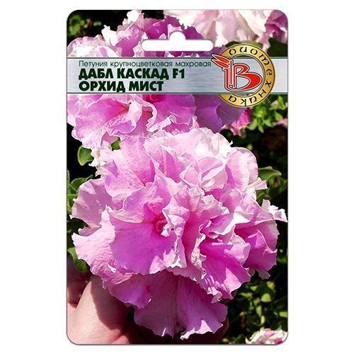 ������ ������ ������� ��������������� �������� ���� ������ ����� ���� F1 ����������   ����