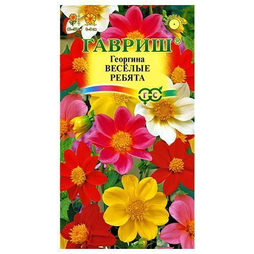 ������ ������ �������� ������� ������, ����� ������� ������   ����