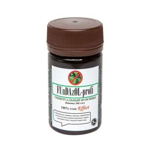 ������ ������ ��������, �������� �� �������� �������� 5 �   ����