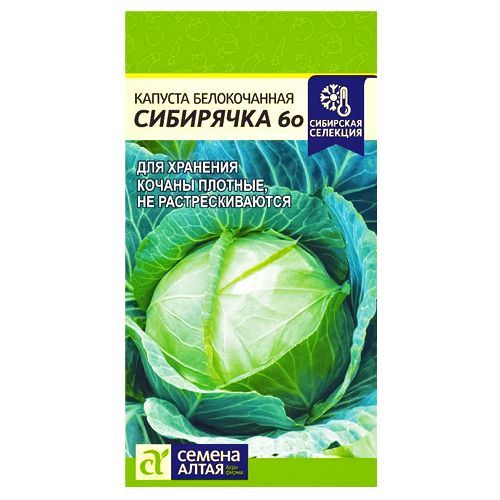 ������ ������ ������� ������������ ��������� 60 ������ �����   ����