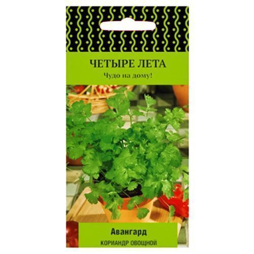 ������ ������ �������� (�����) �������� �����   ����