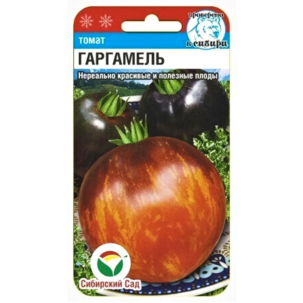 ������ ������ ����� ��������� ��������� ���   ����