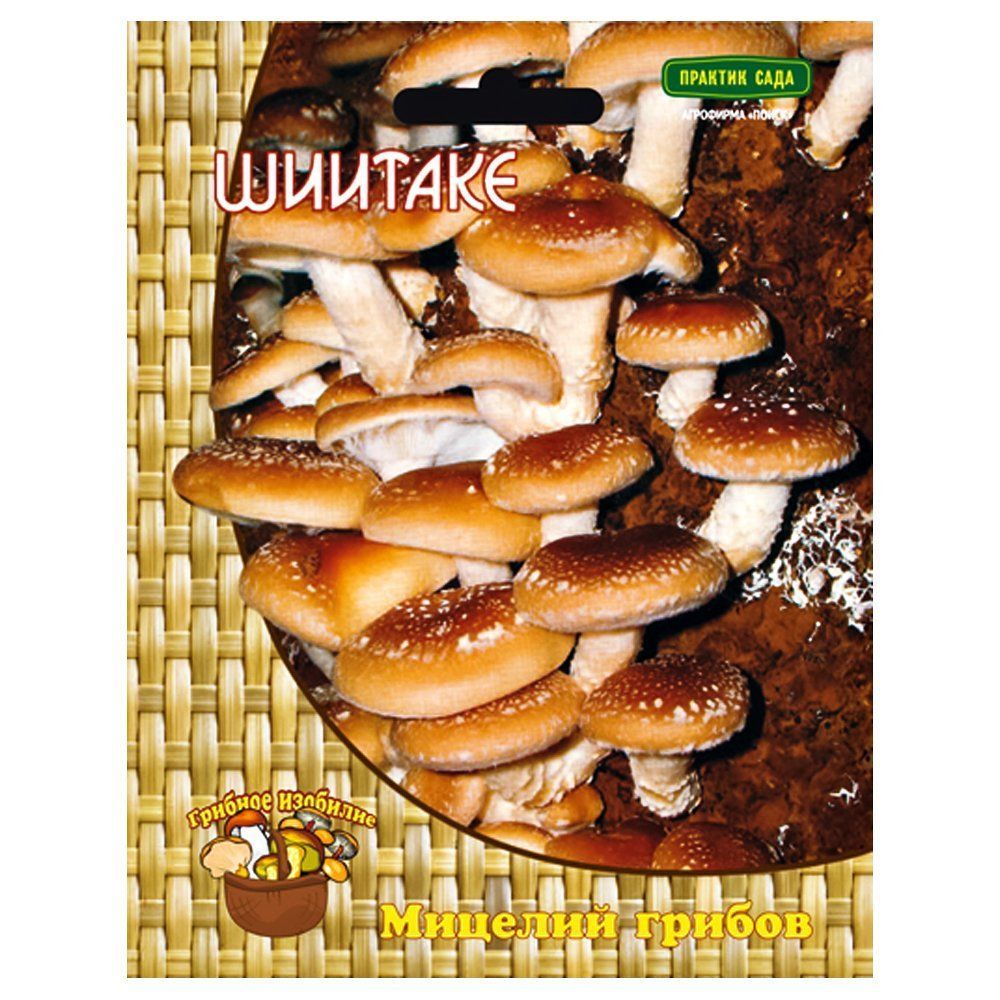 ������ ������ ������� �����   ����