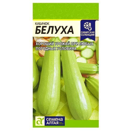 ������ ������ ������� ������ ������ �����   ����