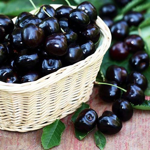 ������ ������ ������� ������ �����   ����