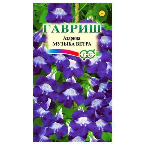 ������ ������ ������� ������ ����� ������   ����