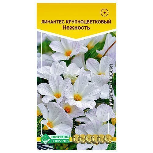 ������ ������ �������� �������� ����������   ����