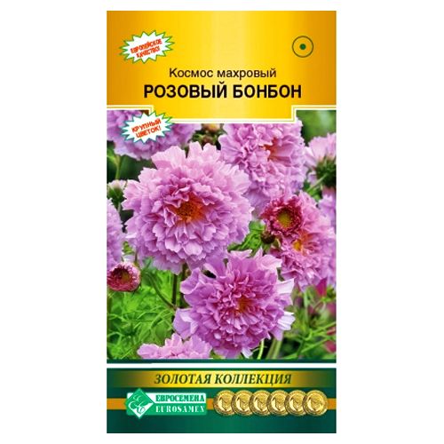 ������ ������ ������ �������� ������� ������ ����������   ����