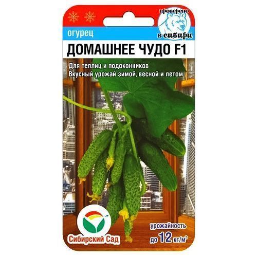 ������ ������ ������ �������� ���� F1 ��������� ���   ����