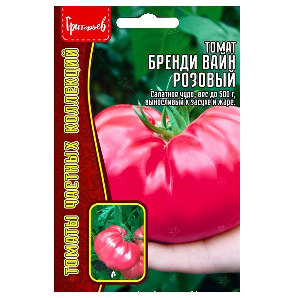 ������ ������ ����� ���������� ������� ������ ������   ����