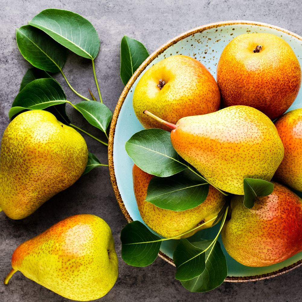 ������ ������ ����� ������������ �������   ����