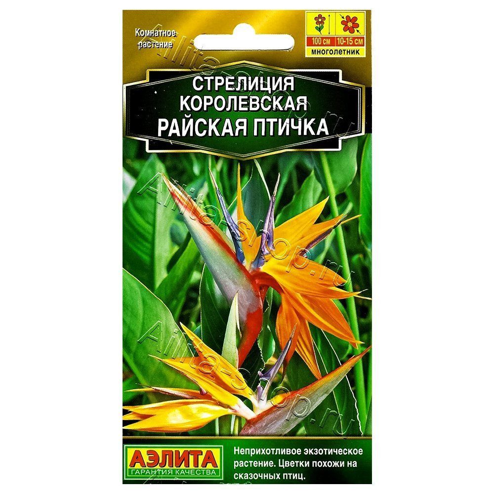 ������ ������ ��������� ����������� ������� ������ ������   ����