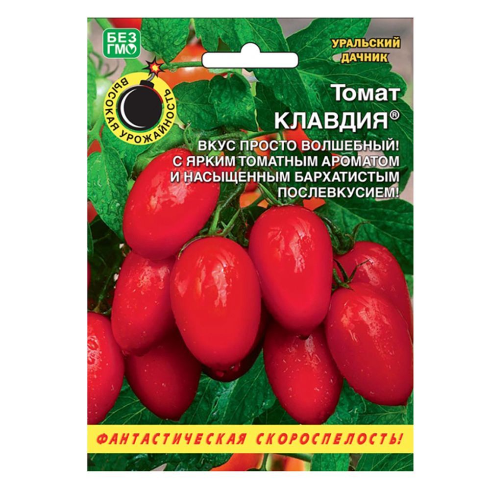 ������ ������ ����� ������� ��������� ������   ����