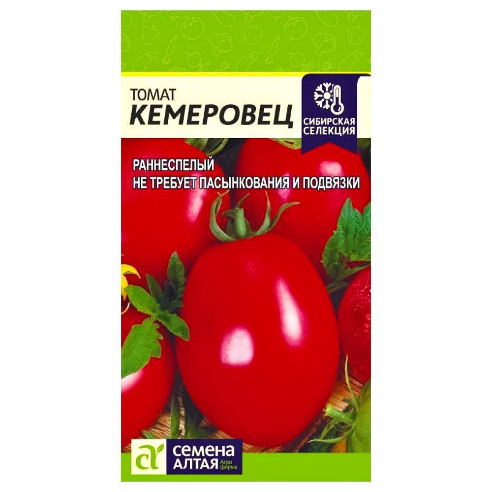 ������ ������ ����� ��������� ������ �����   ����