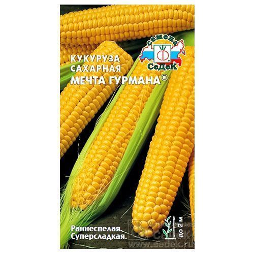 ������ ������ �������� ����� ������� �����   ����