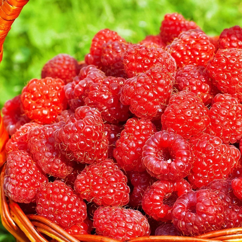 ������ ������ ������ ������������ ��������   ����