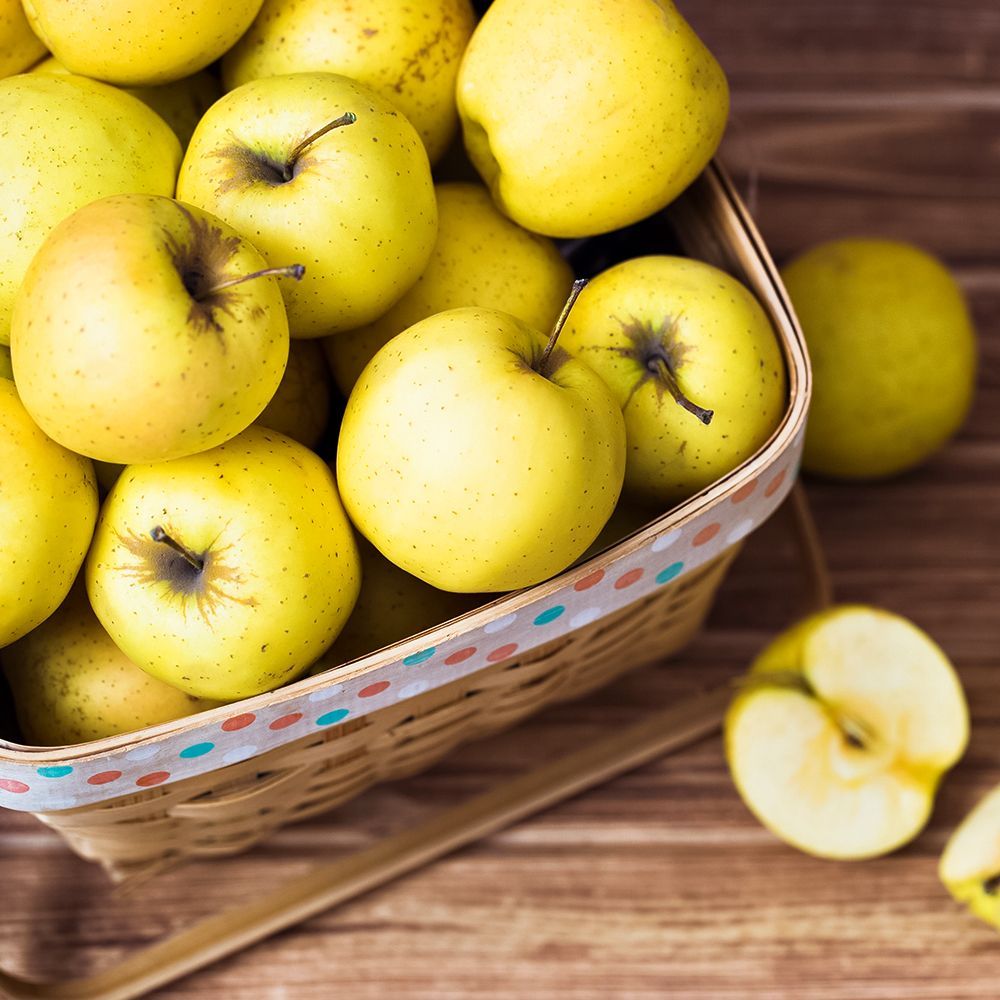 ������ ������ ������ ������������ ��������� ������� �������   ����