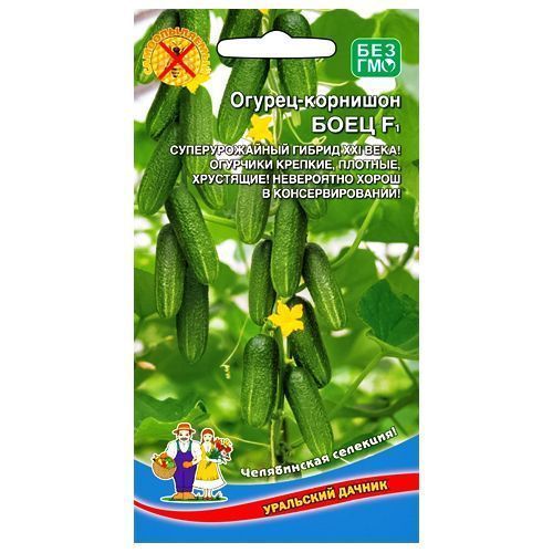 ������ ������ ������ �������� ���� F1 ��������� ������   ����