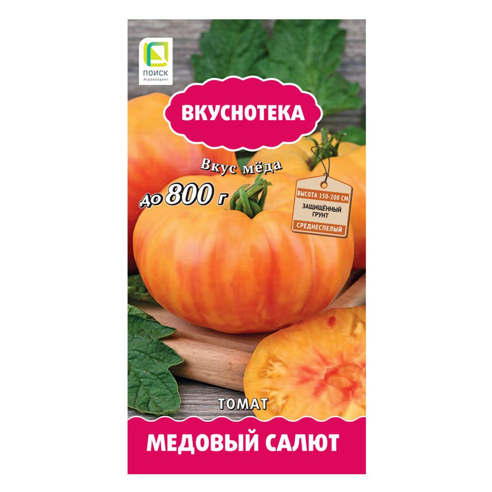 ������ ������ ����� ������� ����� �����   ����