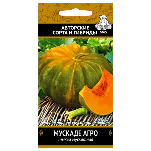 ������ ������ ����� ������� ���� �����   ����