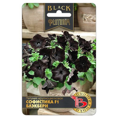 ������ ������ ������� ��������������� ��������� �������� F1 ����������   ����