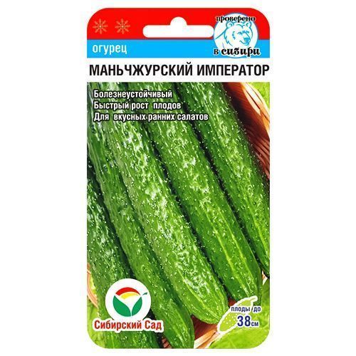 ������ ������ ������ ������������ ��������� ��������� ���   ����