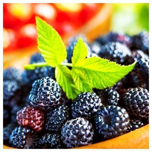 ������ ������ ������ ������ ������ ���������   ����