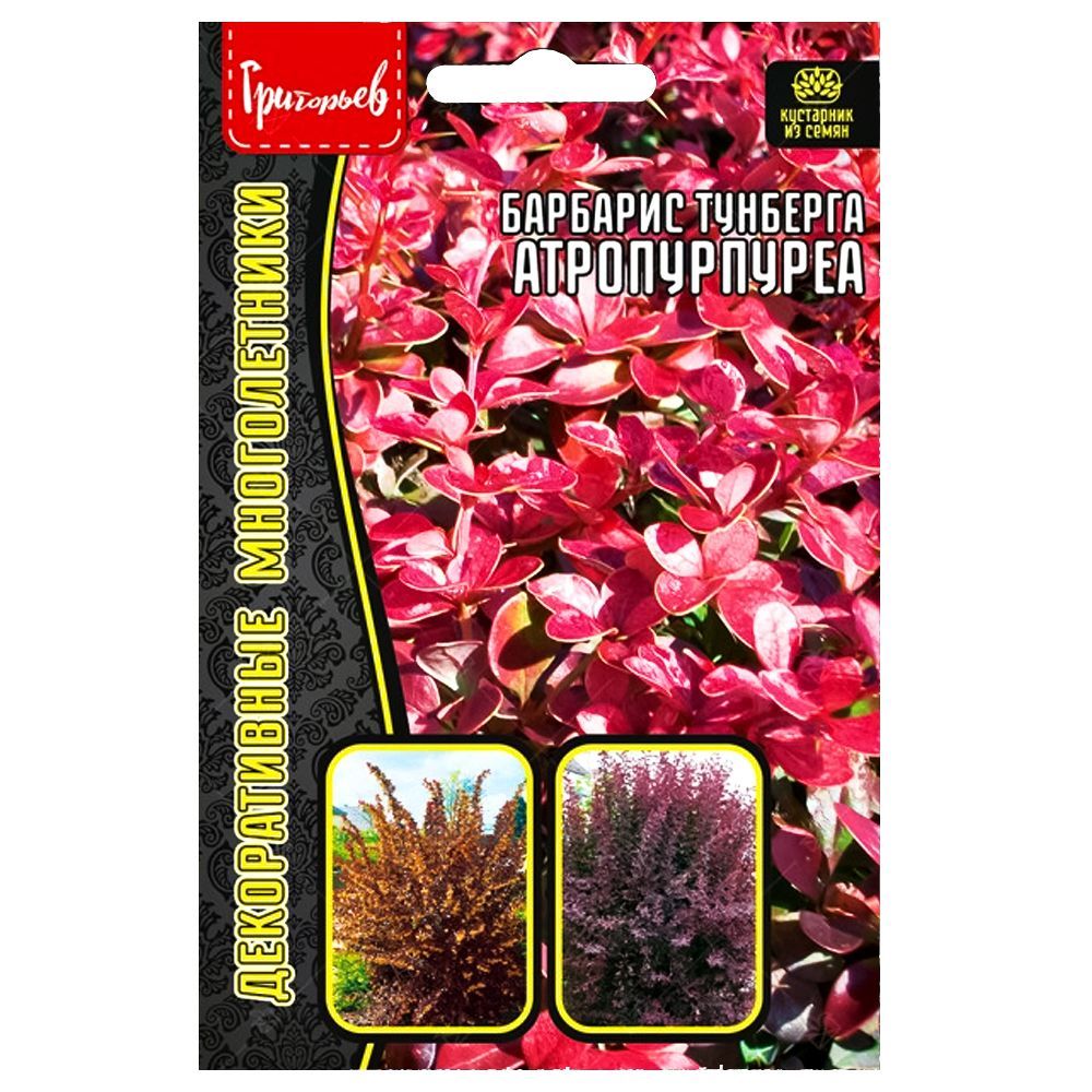 ������ ������ �������� �������� ������������ ������ ������   ����