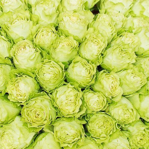 ������ ������ ���� �����-��������� �������   ����