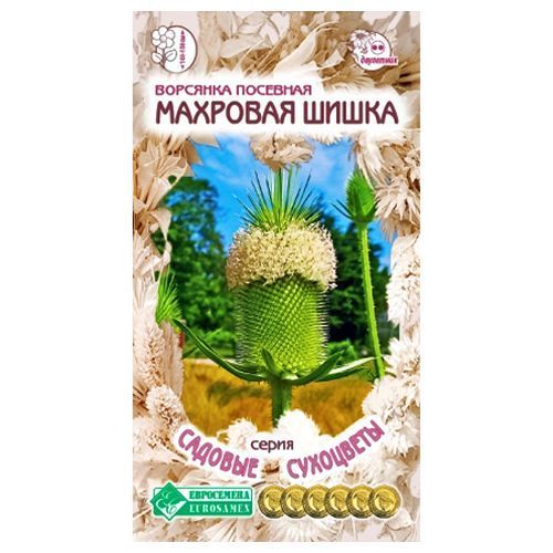 ������ ������ �������� �������� �������� ����� ����������   ����