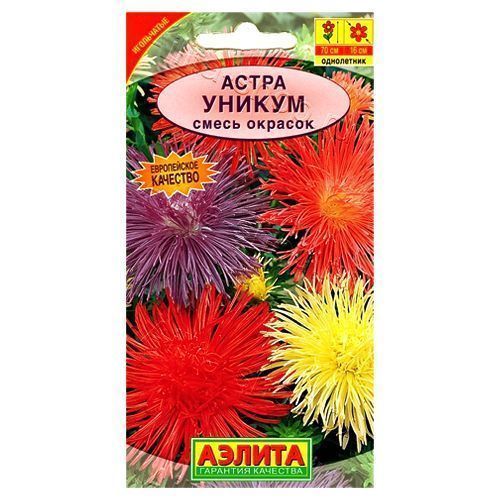 ������ ������ ����� ���������� ������, ����� ������� ������   ����