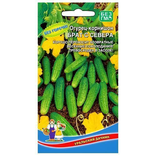 ������ ������ ������ �������� ���� � ������ ��������� ������   ����