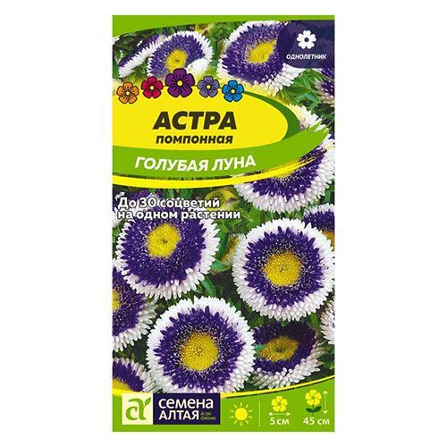 ������ ������ ����� ��������� ������� ���� ������ �����   ����