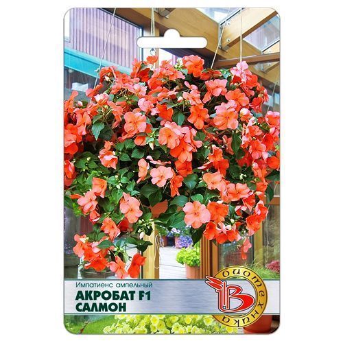 ������ ������ ��������� (���������) ��������� ������� F1 ������ ����������   ����