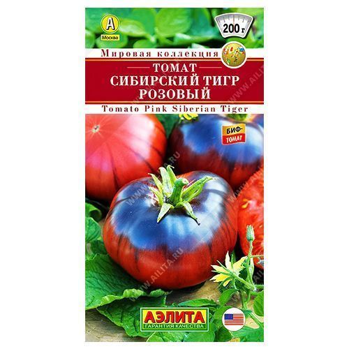 ������ ������ ����� ������� ��������� ���� ������   ����