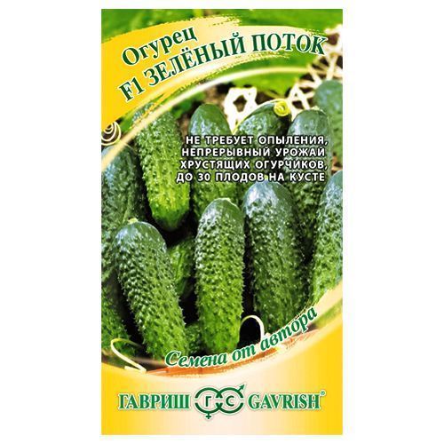 ������ ������ ������ ������� ����� F1 ������   ����