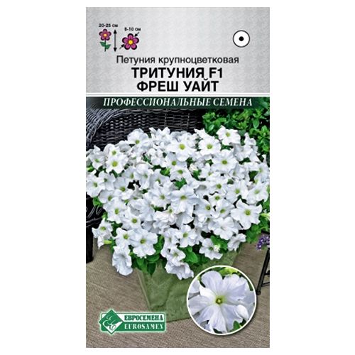 ������ ������ ������� ��������������� �������� ���� ���� F1 ����������   ����