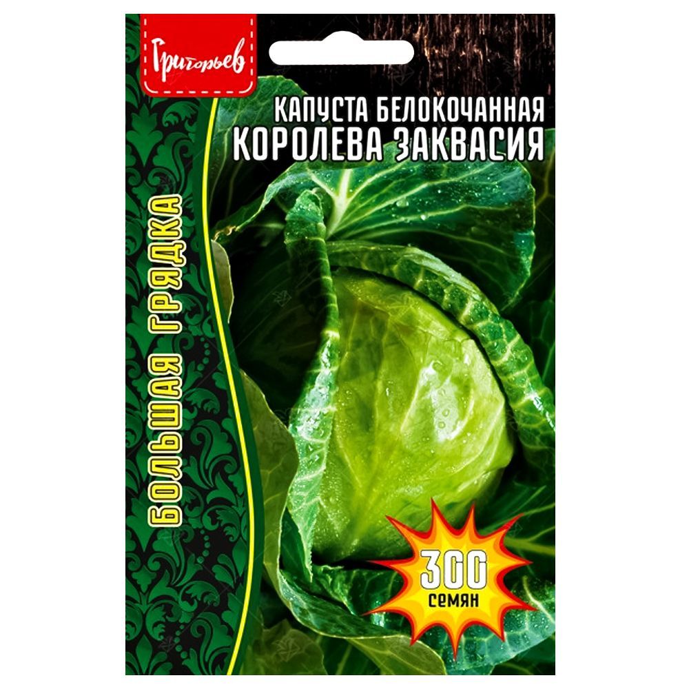 ������ ������ ������� ������������ �������� �������� ������ ������   ����