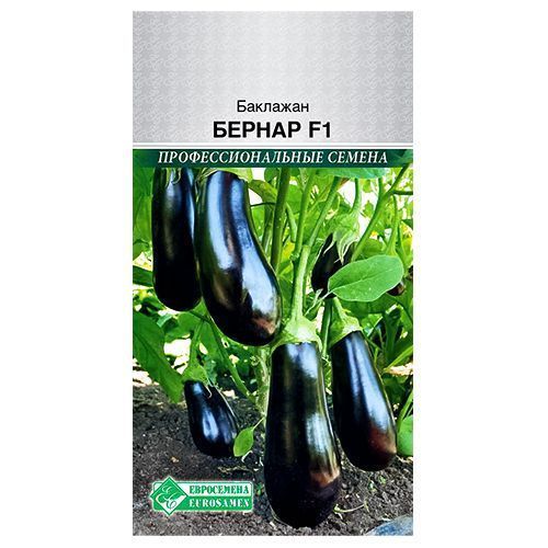 ������ ������ �������� ������ F1 ����������   ����