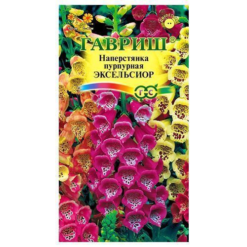 ������ ������ ����������� ����������, ����� ������� ������   ����