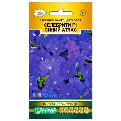 ������ ������ ������� �������������� ��������� ����� ����� F1 ����������   ����