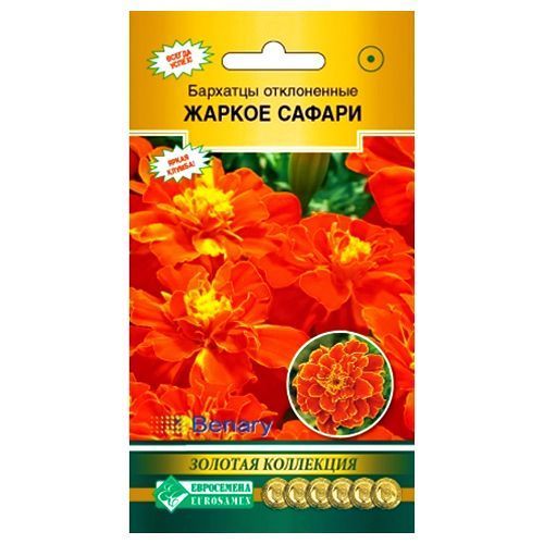 ������ ������ �������� ����������� ������ ������ ����������   ����