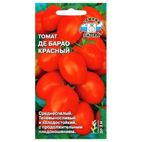 ������ ������ ����� �� ����� ������� �����   ����