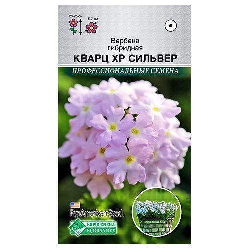 ������ ������ ������� ����� �� ������� ����������   ����