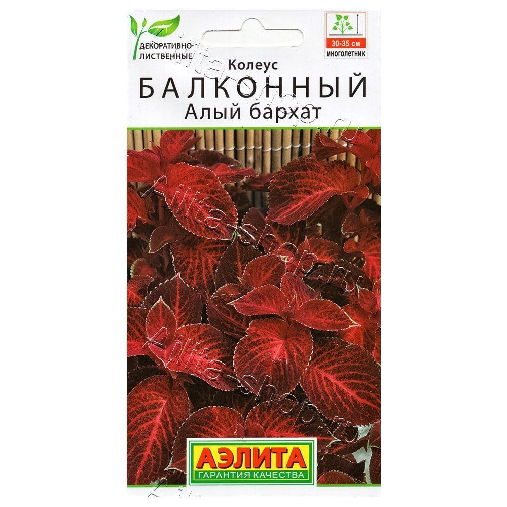 ������ ������ ������ ��������� ���� ������ ������   ����